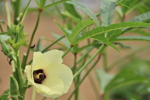 蜀咏悄・・ZZZ_2343