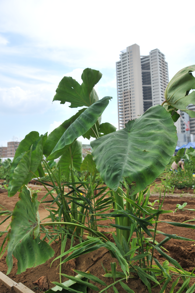 蜀咏悄・・ZZZ_2365_1