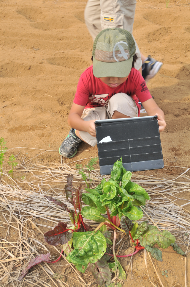 蜀咏悄・・ZZZ_2472_1