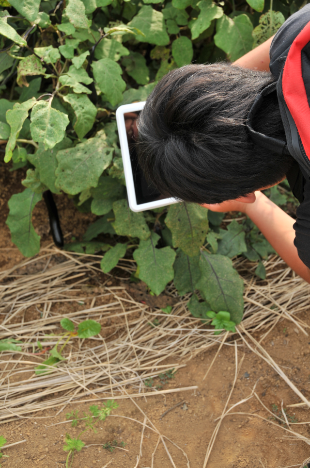 蜀咏悄・・ZZZ_2495_1