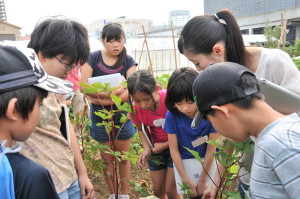 蜀咏悄・・ZZZ_2544