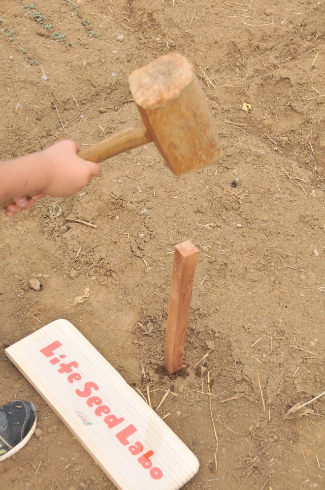 蜀咏悄・・ZZZ_2574_1