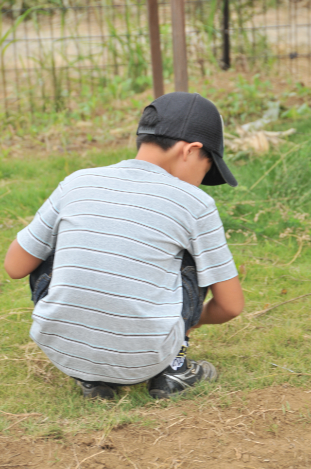 蜀咏悄・・ZZZ_2673_1